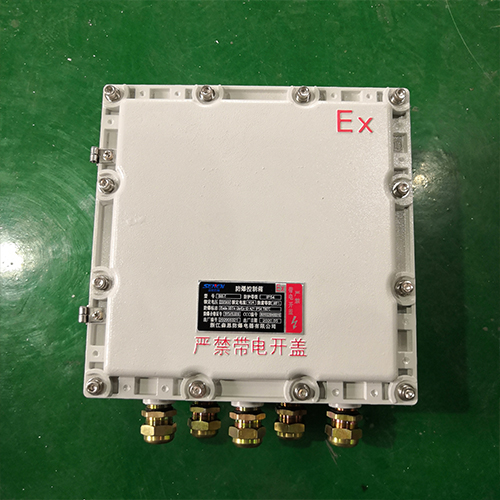 BJX防爆接线箱隔爆体，防爆接线箱300X300X150，防爆接线箱Ex型号，BJX8050防爆接线箱型号